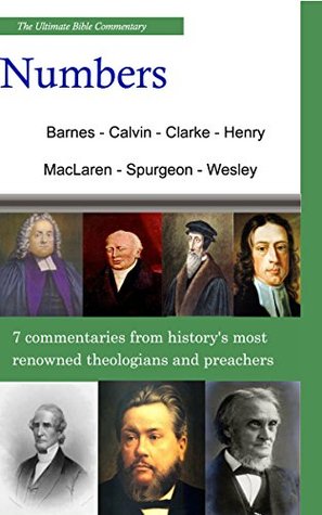 Read The Ultimate Commentary On Numbers: A Collective Wisdom Of The Bible - Albert Barnes file in ePub