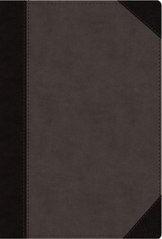 Download NIV, Faithlife Study Bible, Imitation Leather, Gray/Black: Intriguing Insights to Inform Your Faith - Anonymous file in ePub