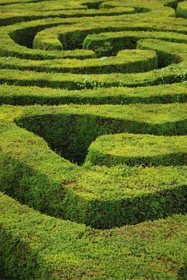 Read Online Awesome Green Hedge Maze at Glendurgan Gardens in Cornwall England Journal: 150 Page Lined Notebook/Diary -  file in ePub