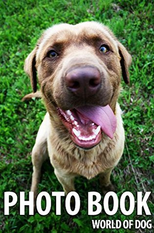 Read PHOTO BOOK WORLD OF DOG VOL.9: photo book dog, dog photography - Angelo Ryker | PDF