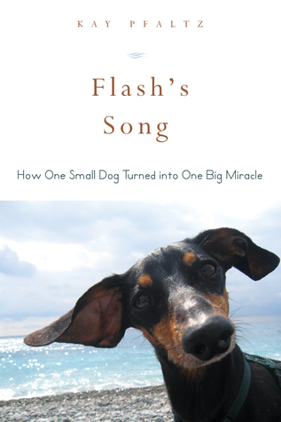 Read Flash's Song: How One Small Dog Turned into One Big Miracle - Kay Pfaltz file in PDF