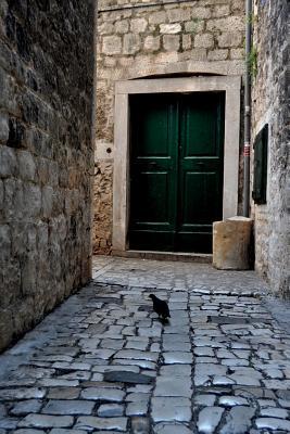 Full Download Stone Street in Trogir Croatia Journal: 150 Page Lined Notebook/Diary -  | ePub