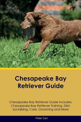 Read Chesapeake Bay Retriever Guide Chesapeake Bay Retriever Guide Includes: Chesapeake Bay Retriever Training, Diet, Socializing, Care, Grooming, Breeding and More - Peter Carr file in ePub