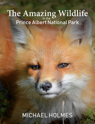 Full Download The Amazing Wildlife in the Prince Albert National Park - Michael Holmes | ePub