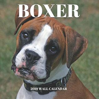 Download Boxer 2019 Wall Calendar: Mini Wall Calendar Dog Photography 12 Month Calendar Planner - Splendid Calendars file in ePub